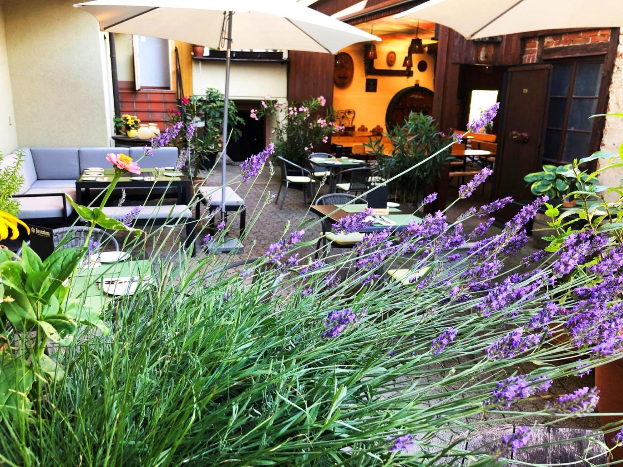 Appartements 'In Vino Veritas' Haslach im Kinzigtal Εξωτερικό φωτογραφία