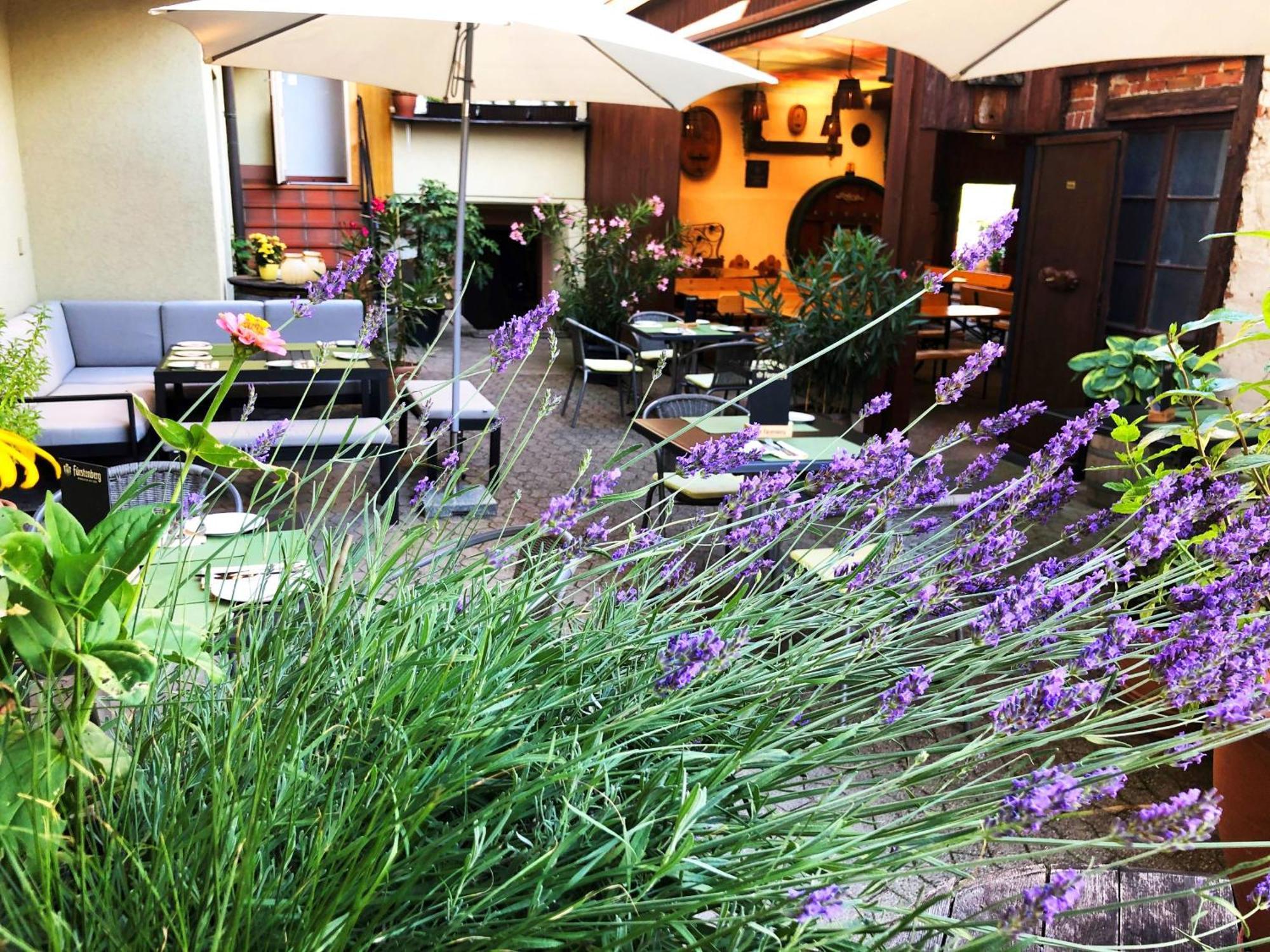 Appartements 'In Vino Veritas' Haslach im Kinzigtal Εξωτερικό φωτογραφία